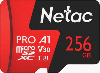 Карта памяти Netac P500 Extreme Pro 256GB NT02P500PRO-256G-S - 1/1