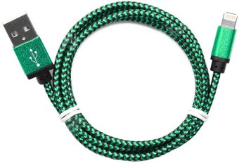 Кабель Cablexpert CC-ApUSB2gn1m - 1/1