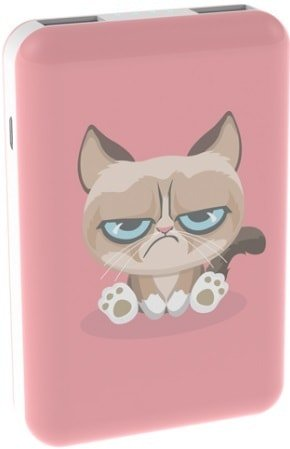 Внешний аккумулятор Ritmix RPB-10007 (сердитый кот) - 1/1