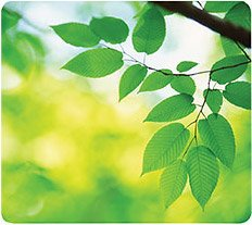 Коврик для мыши Fellowes fs-59038 - 1/1