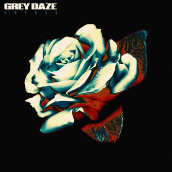Виниловая пластинка Grey Daze - Amends - 1/1