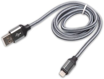 Кабель Ritmix RCC-421 - 1/1