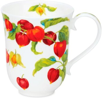 Кружка Dunoon Физалис Бремор DNN78680475 (330мл) - 1/1