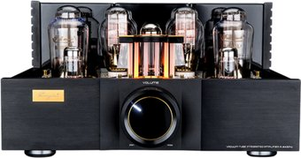 Интегральный усилитель Cayin A-845PRO (черный) - 1/1