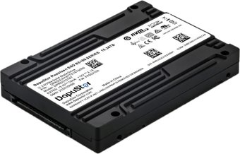 SSD DapuStor Roealsen5 R5101 3.84TB - 1/1