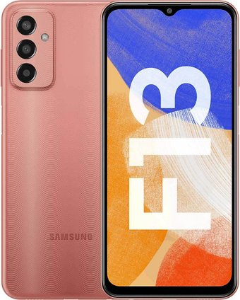 Смартфон Samsung Galaxy F13 SM-E135F/DS 4GB/64GB (медный) - 1/1