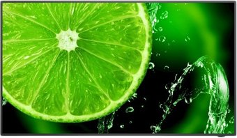 Информационная панель NEC MultiSync E328 - 1/1