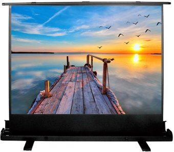 Проекционный экран CACTUS FloorExpert 113x200 CS-PSFLE-200х113 - 1/1