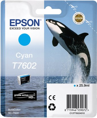 Картридж Epson C13T76024010 - 1/1