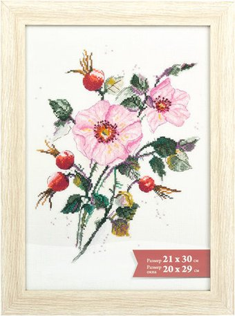 Фоторамка Gamma ПРК-11 21x30 см (ясень) - 1/1