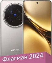 Смартфон Vivo X200 Pro 16GB/1TB китайская версия (титан) - 1/1