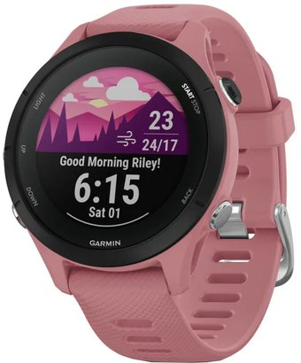 Умные часы Garmin Forerunner 255S (пыльная роза/черный) - 1/1