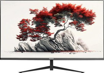 Монитор RDW Computers RDW2701K/Q00B0 - 1/1