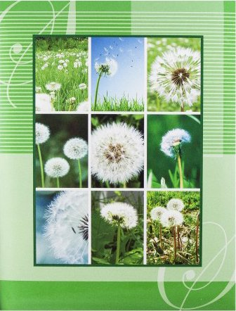 Фотоальбом Gedeon B46200S Bloom (зеленый) - 1/1