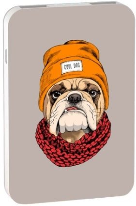 Внешний аккумулятор Ritmix RPB-10007 (бульдог) - 1/1