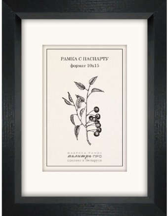 Фоторамка Палитра П730-07/2720 10x15 (черный/белый) - 1/1