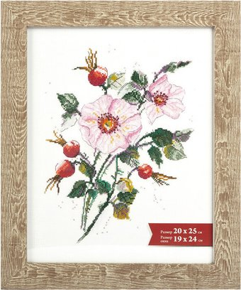 Фоторамка Gamma ПРК-11 20x25 см (дуб мокко) - 1/1