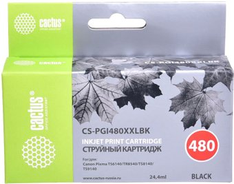 Картридж CACTUS CS-PGI480XXLBK (аналог Canon PGI-480XXL PGBK) - 1/1