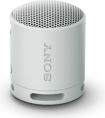 Беспроводная колонка Sony XB100 (светло-серый) - 1/1