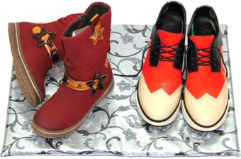 Сушилка для обуви ТеплоМакс 50 х 30 см to-11795 - 1/1