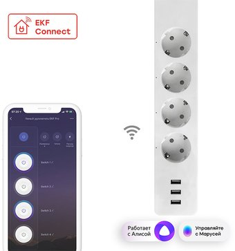 Умный удлинитель EKF Connect PRO Wi-Fi c USB RCE-2-WF - 1/1