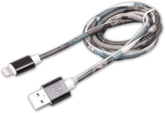 Кабель Ritmix RCC-422 - 1/1