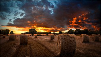 Информационная панель Samsung VM46T-U LH46VMTUBGBXCI - 1/1