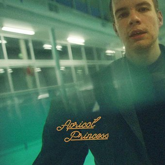 Виниловая пластинка Rex Orange County - Apricot Princess - 1/1
