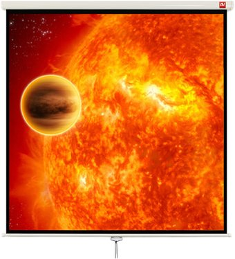 Проекционный экран Avtek Video 280 280x212 (1EVS26) - 1/1