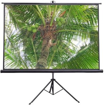 Проекционный экран Future Vision Tripod 200x200 T200SMW - 1/1