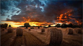 Информационная панель Samsung VM55T-U - 1/1