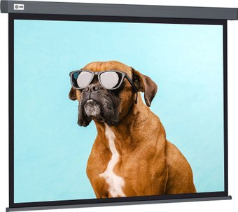Проекционный экран CACTUS Wallscreen 149x265 CS-PSW-149X265-SG - 1/1