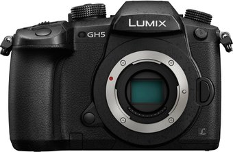 Беззеркальный фотоаппарат Panasonic Lumix DC-GH5 Body - 1/1