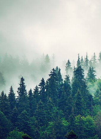 Фотообои Arthata листовые Fotooboi-2 (500x270) - 1/1