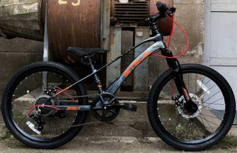 Детский велосипед Stels Leader 220 MD 2024 (серый) - 1/1