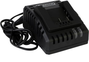 Зарядное устройство ДИОЛД ЗУ-20ЛИ 90022011 (20В) - 1/1