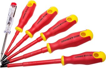 Набор отверток Stayer Profi Electro 100-250В, Cr-V 25145-H6_z01 (6 предметов) - 1/1