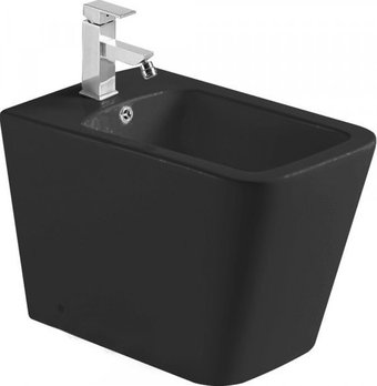 Биде WeltWasser Gelbach 003 MT-BL (черный матовый) - 1/1