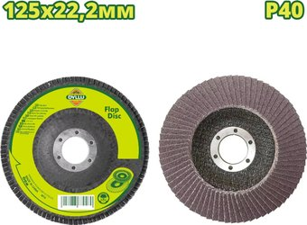 Шлифовальный круг Dyllu DTYL2301 - 1/1