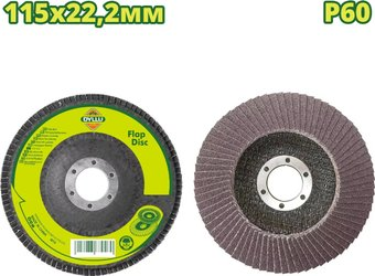 Шлифовальный круг Dyllu DTYL1302 - 1/1