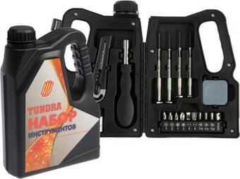 Набор домашнего мастера Tundra 7379044 (21 предмет) - 1/1